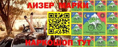 шишки Новодвинск
