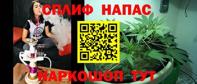 гашик Нарткала