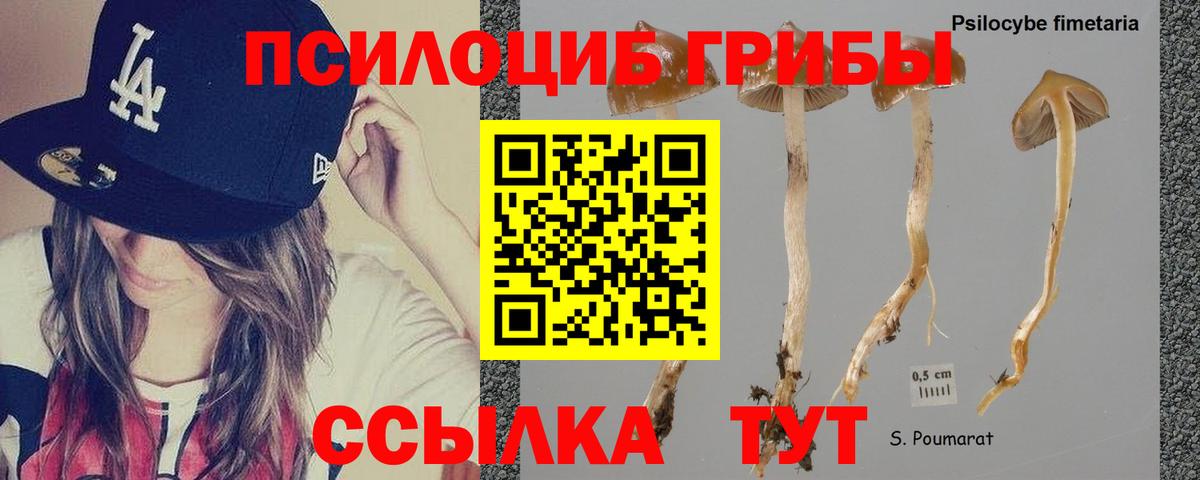 цена   Вход с VPN  Шебекино  Псилоцибиновые грибы мухоморы 